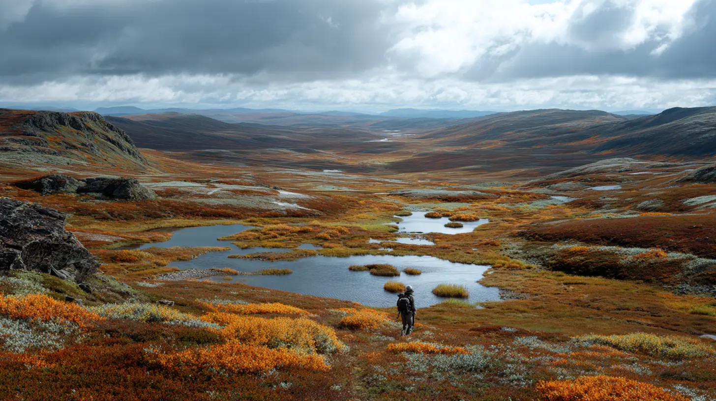 Rypejakt i Finnmark – to timer fra nærmeste bil